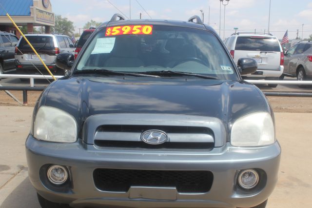 2005 Hyundai Santa Fe Elk Conversion Van