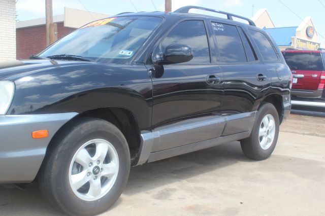 2005 Hyundai Santa Fe Elk Conversion Van