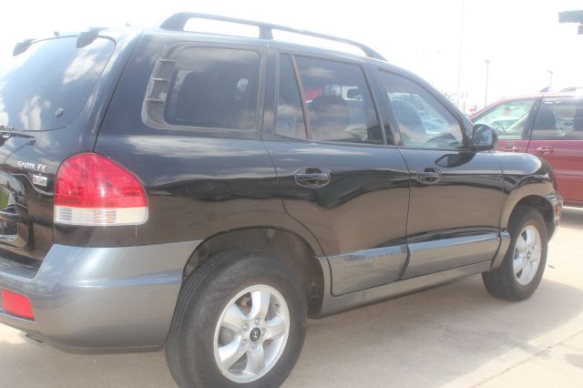 2005 Hyundai Santa Fe Elk Conversion Van