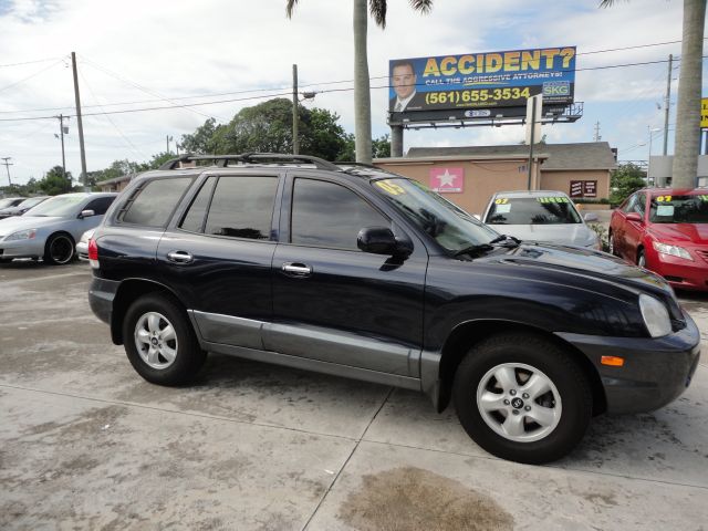 2005 Hyundai Santa Fe Elk Conversion Van