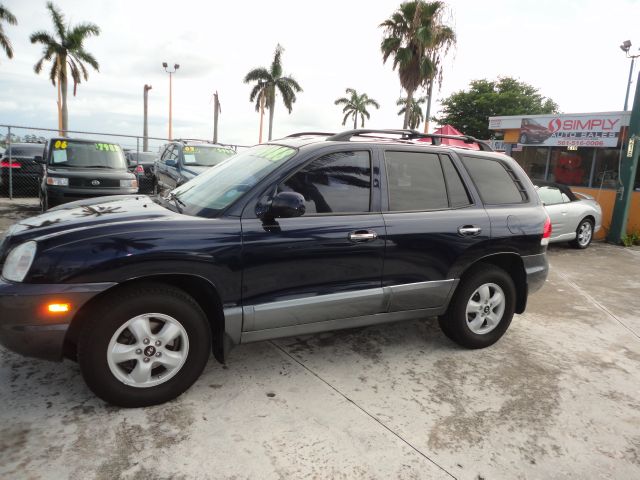 2005 Hyundai Santa Fe Elk Conversion Van