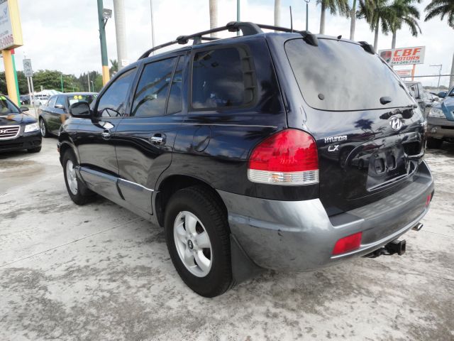 2005 Hyundai Santa Fe Elk Conversion Van