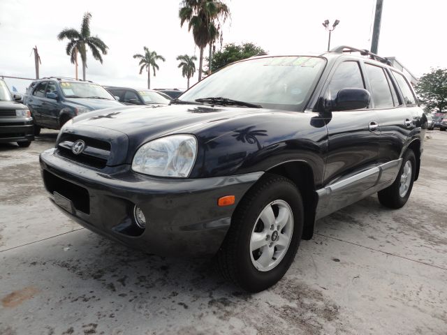 2005 Hyundai Santa Fe Elk Conversion Van