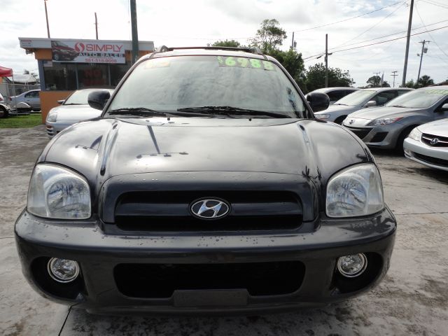 2005 Hyundai Santa Fe Elk Conversion Van