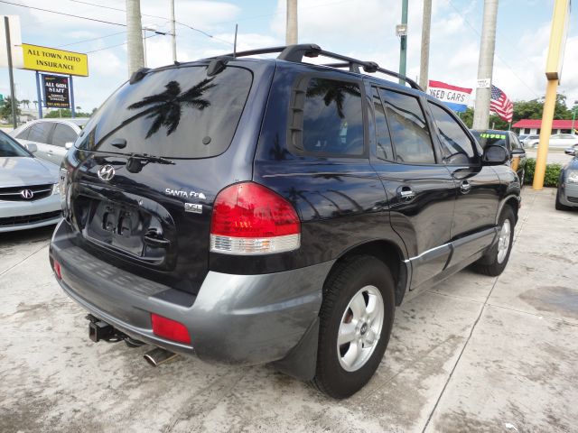 2005 Hyundai Santa Fe Elk Conversion Van