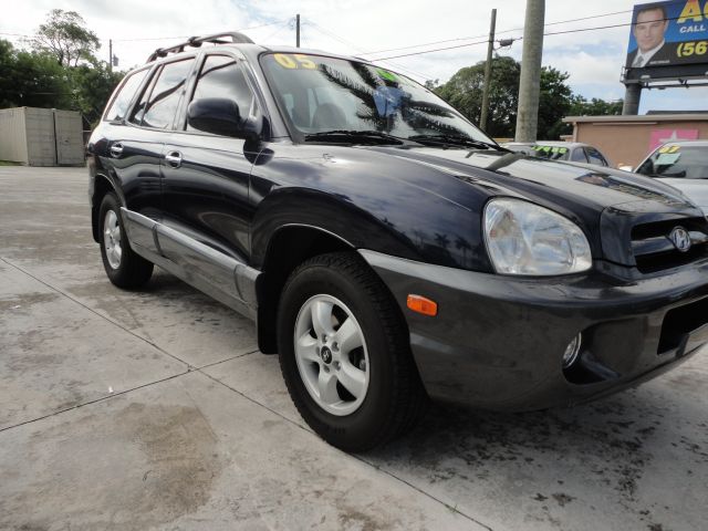 2005 Hyundai Santa Fe Elk Conversion Van