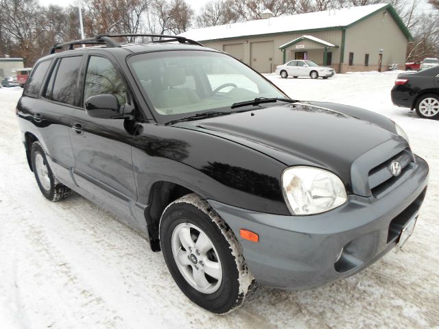 2006 Hyundai Santa Fe RWD W/1sf