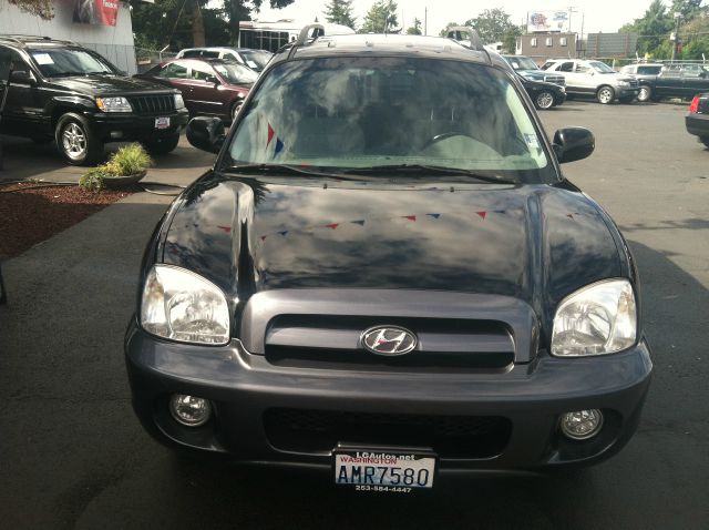 2006 Hyundai Santa Fe RWD W/1sf