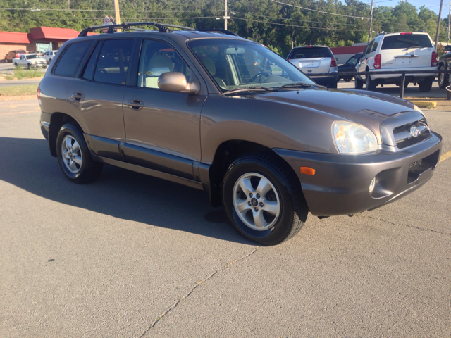 2006 Hyundai Santa Fe RWD W/1sf