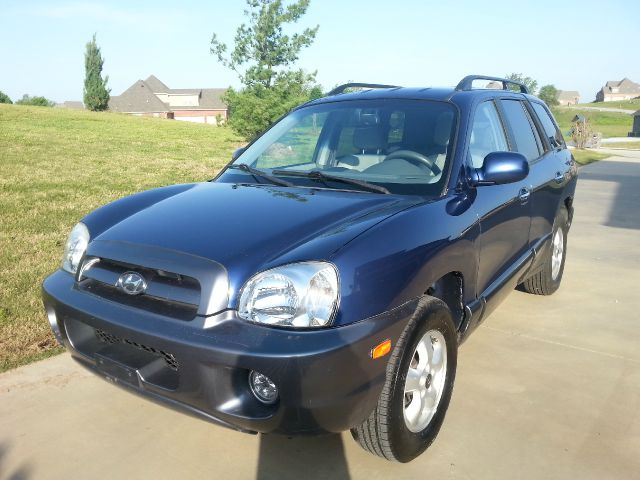 2006 Hyundai Santa Fe I-290 S