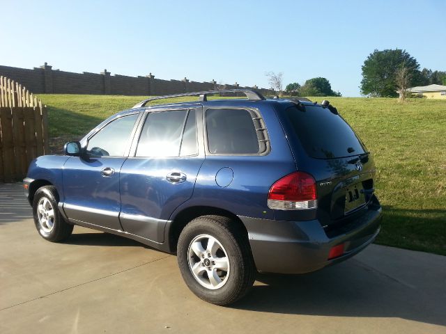 2006 Hyundai Santa Fe I-290 S