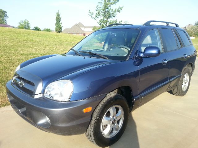 2006 Hyundai Santa Fe I-290 S