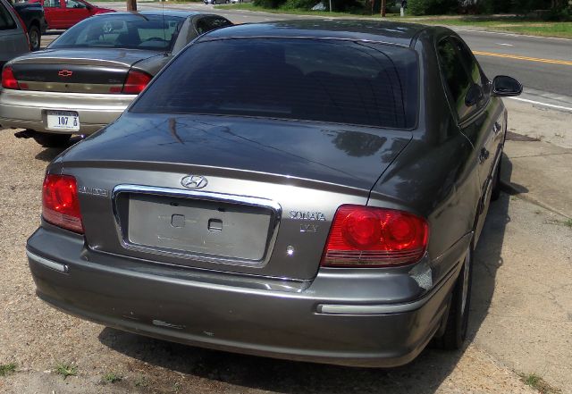 2002 Hyundai Sonata Elk Conversion Van