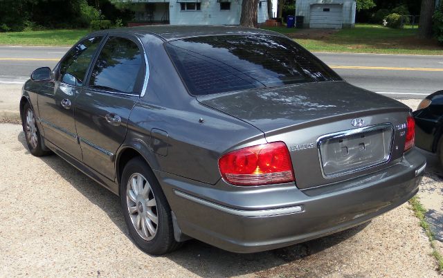 2002 Hyundai Sonata Elk Conversion Van