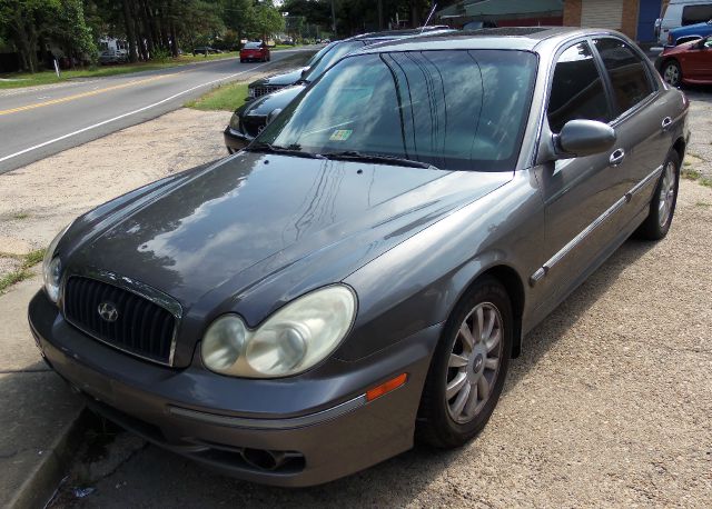 2002 Hyundai Sonata Elk Conversion Van