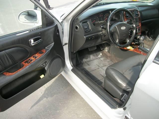 2002 Hyundai Sonata Elk Conversion Van