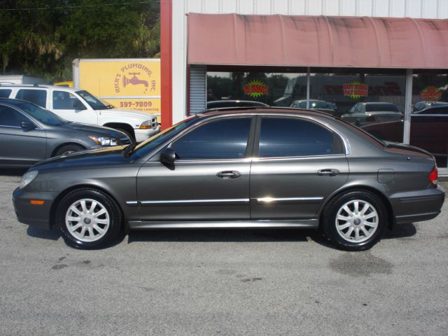 2002 Hyundai Sonata Elk Conversion Van