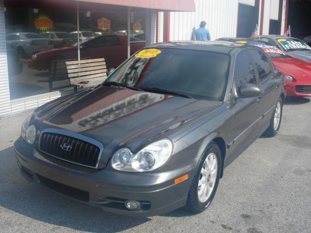 2002 Hyundai Sonata Elk Conversion Van