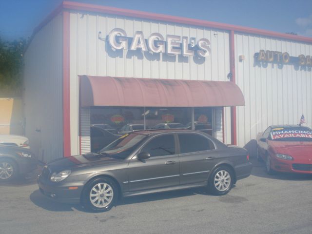 2002 Hyundai Sonata Elk Conversion Van