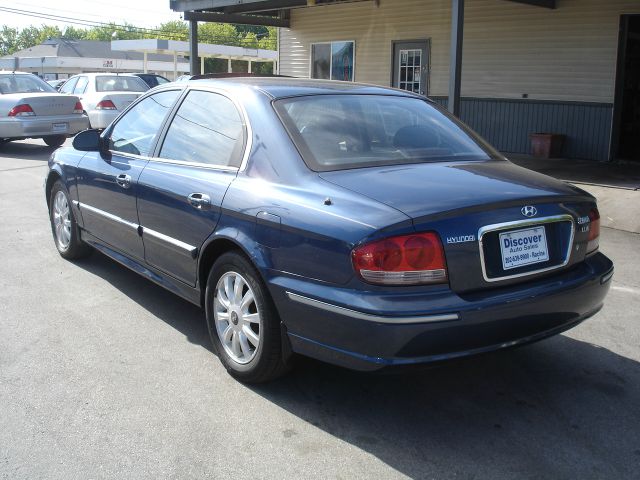 2002 Hyundai Sonata Elk Conversion Van