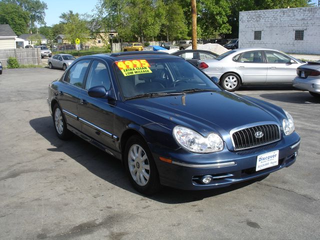 2002 Hyundai Sonata Elk Conversion Van