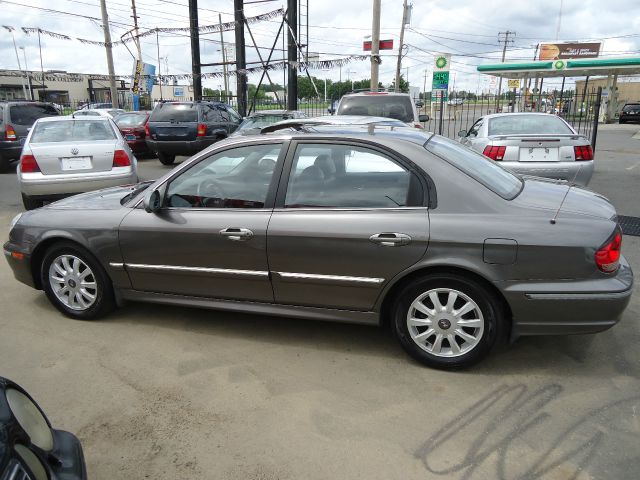 2003 Hyundai Sonata Elk Conversion Van