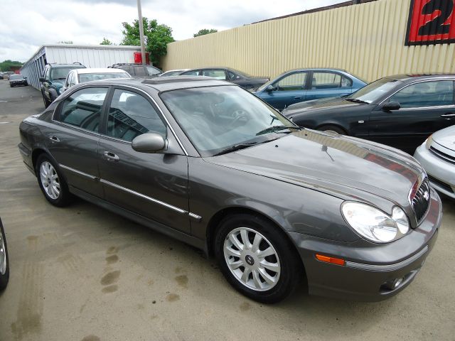 2003 Hyundai Sonata Elk Conversion Van