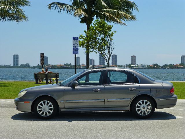 2003 Hyundai Sonata Elk Conversion Van