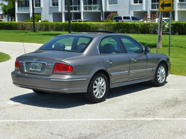 2003 Hyundai Sonata Elk Conversion Van