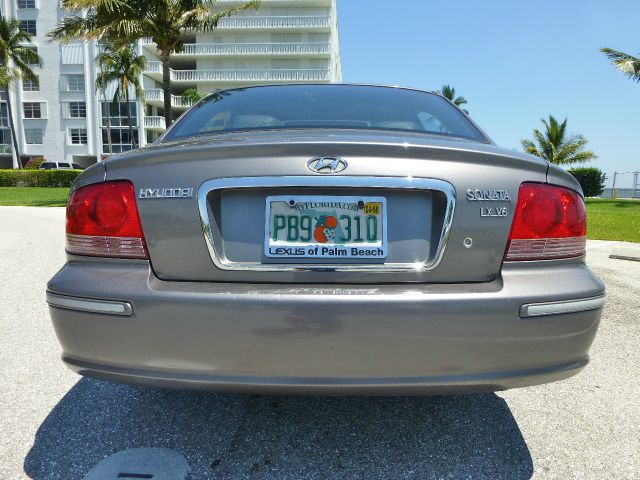 2003 Hyundai Sonata Elk Conversion Van