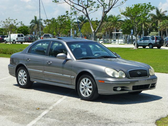 2003 Hyundai Sonata Elk Conversion Van