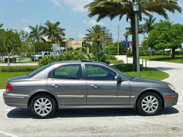 2003 Hyundai Sonata Elk Conversion Van