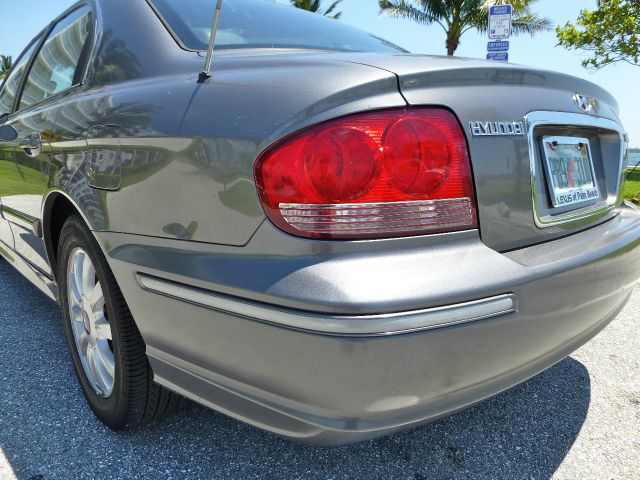 2003 Hyundai Sonata Elk Conversion Van