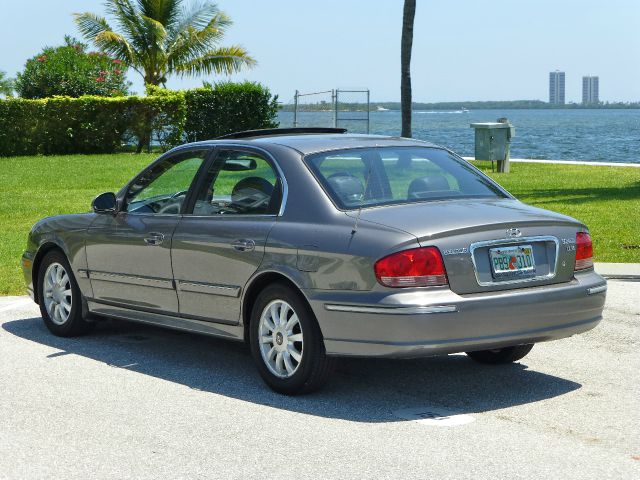 2003 Hyundai Sonata Elk Conversion Van