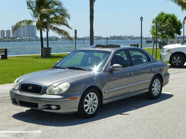 2003 Hyundai Sonata Elk Conversion Van