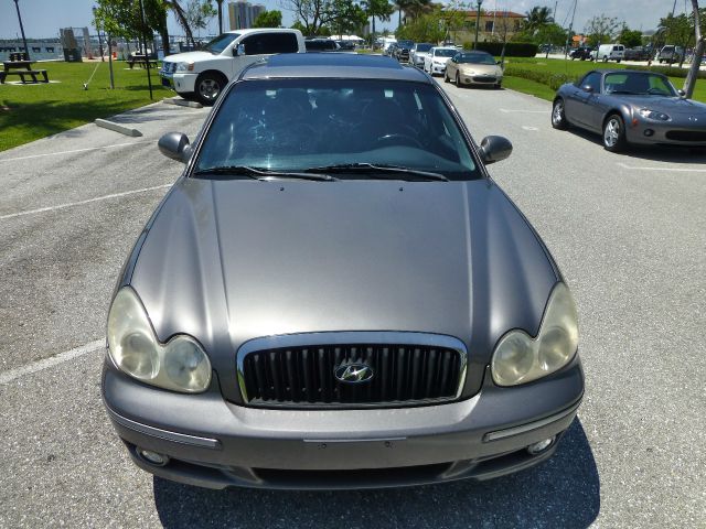 2003 Hyundai Sonata Elk Conversion Van