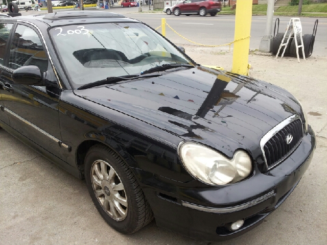 2003 Hyundai Sonata Elk Conversion Van