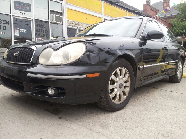 2003 Hyundai Sonata Elk Conversion Van