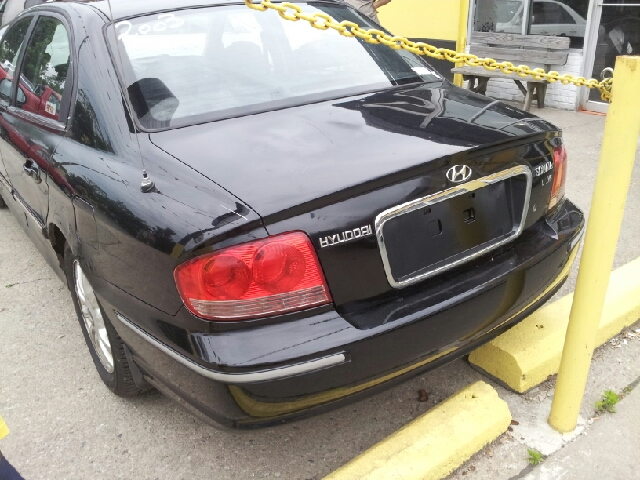 2003 Hyundai Sonata Elk Conversion Van