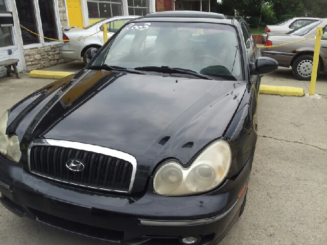 2003 Hyundai Sonata Elk Conversion Van