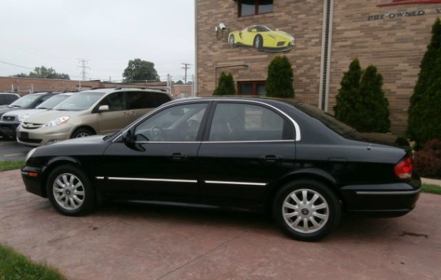 2003 Hyundai Sonata Elk Conversion Van