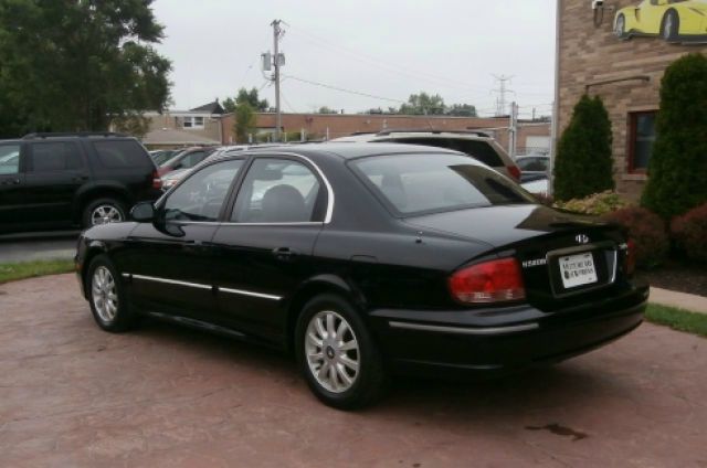 2003 Hyundai Sonata Elk Conversion Van