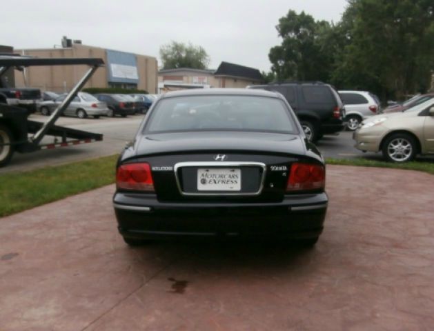 2003 Hyundai Sonata Elk Conversion Van