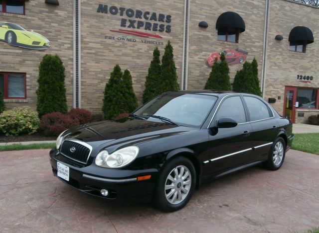 2003 Hyundai Sonata Elk Conversion Van