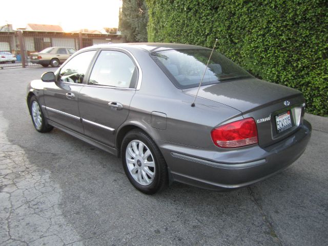 2003 Hyundai Sonata Elk Conversion Van