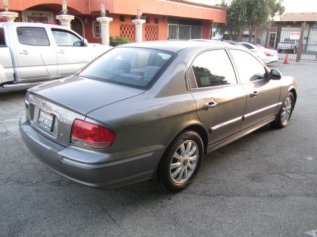 2003 Hyundai Sonata Elk Conversion Van