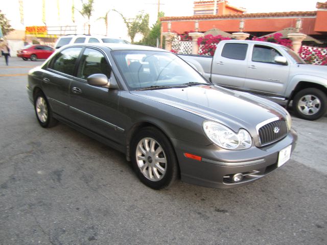 2003 Hyundai Sonata Elk Conversion Van