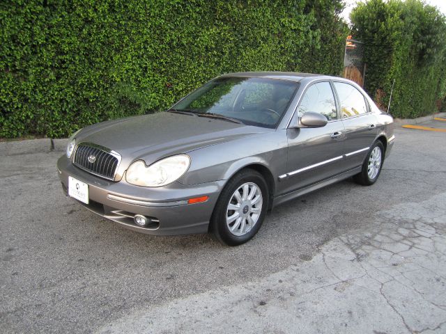 2003 Hyundai Sonata Elk Conversion Van