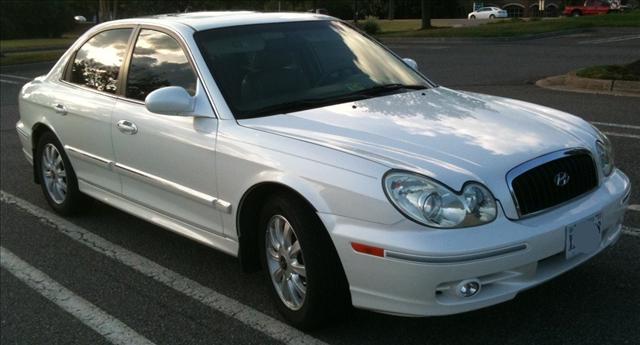 2003 Hyundai Sonata Elk Conversion Van