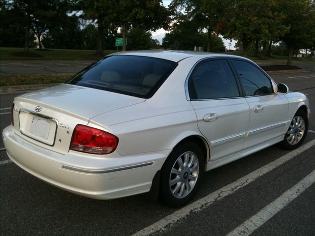 2003 Hyundai Sonata Elk Conversion Van